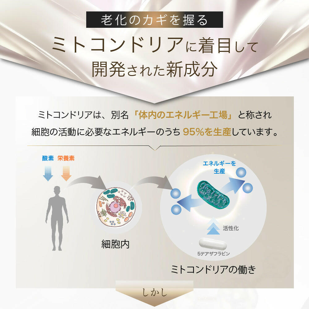 【定期便(1か月毎)】5デアザフラビン TND1128