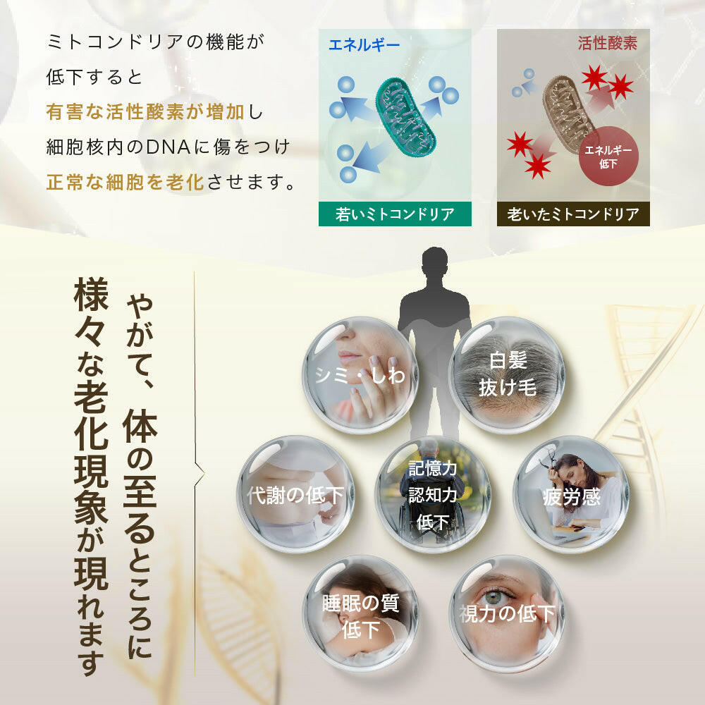【定期便(1か月毎)】5デアザフラビン TND1128