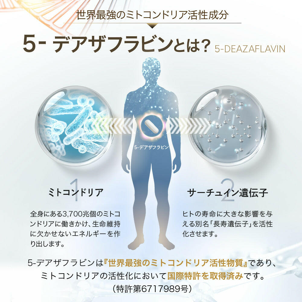 【定期便(1か月毎)】5デアザフラビン TND1128