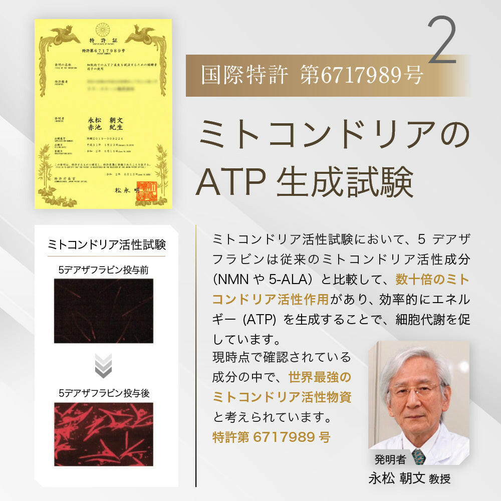 【定期便(1か月毎)】5デアザフラビン TND1128