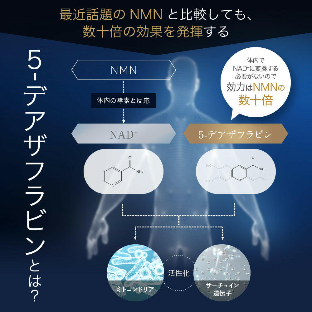 【定期便(1か月毎)】5デアザフラビン TND1128