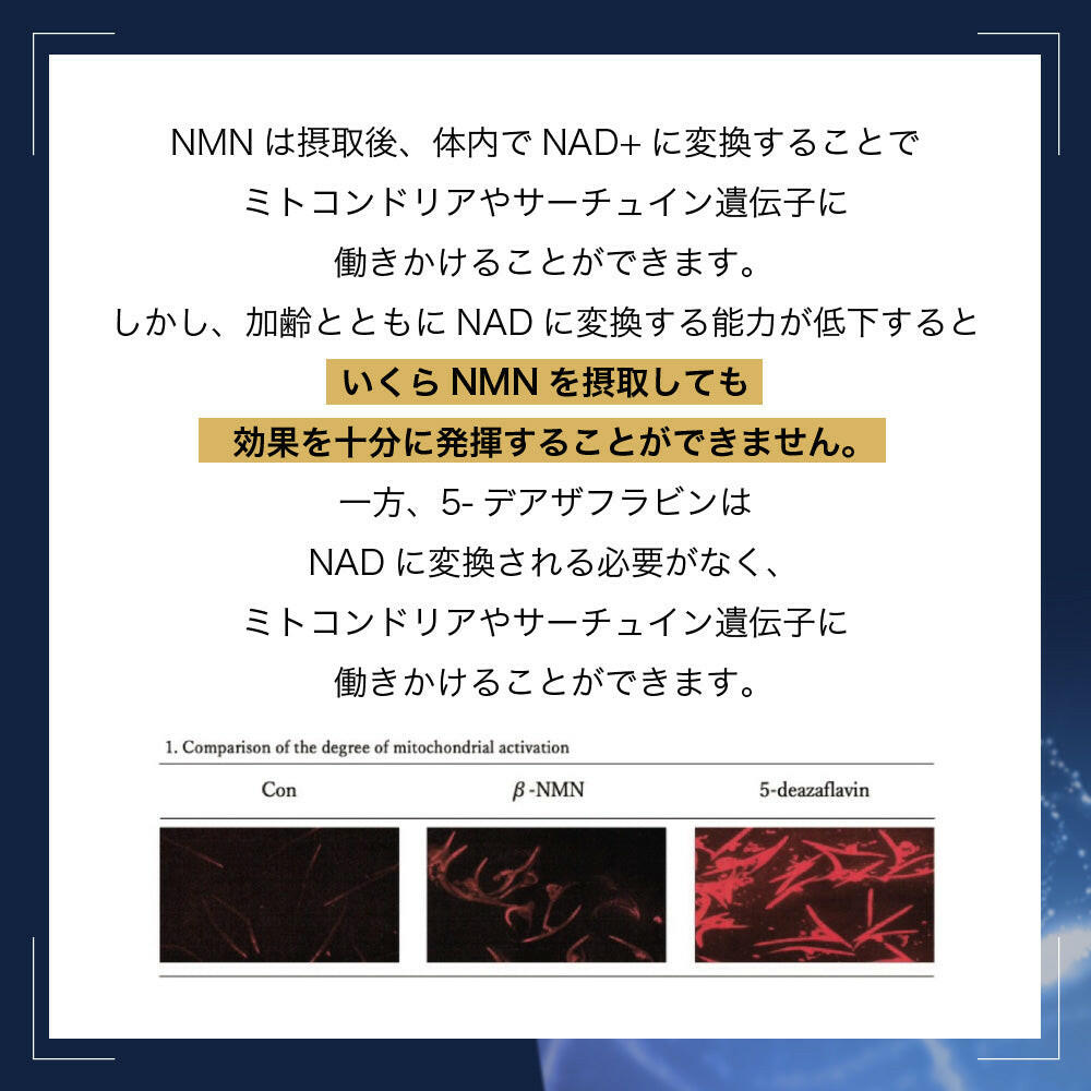 【定期便(1か月毎)】5デアザフラビン TND1128